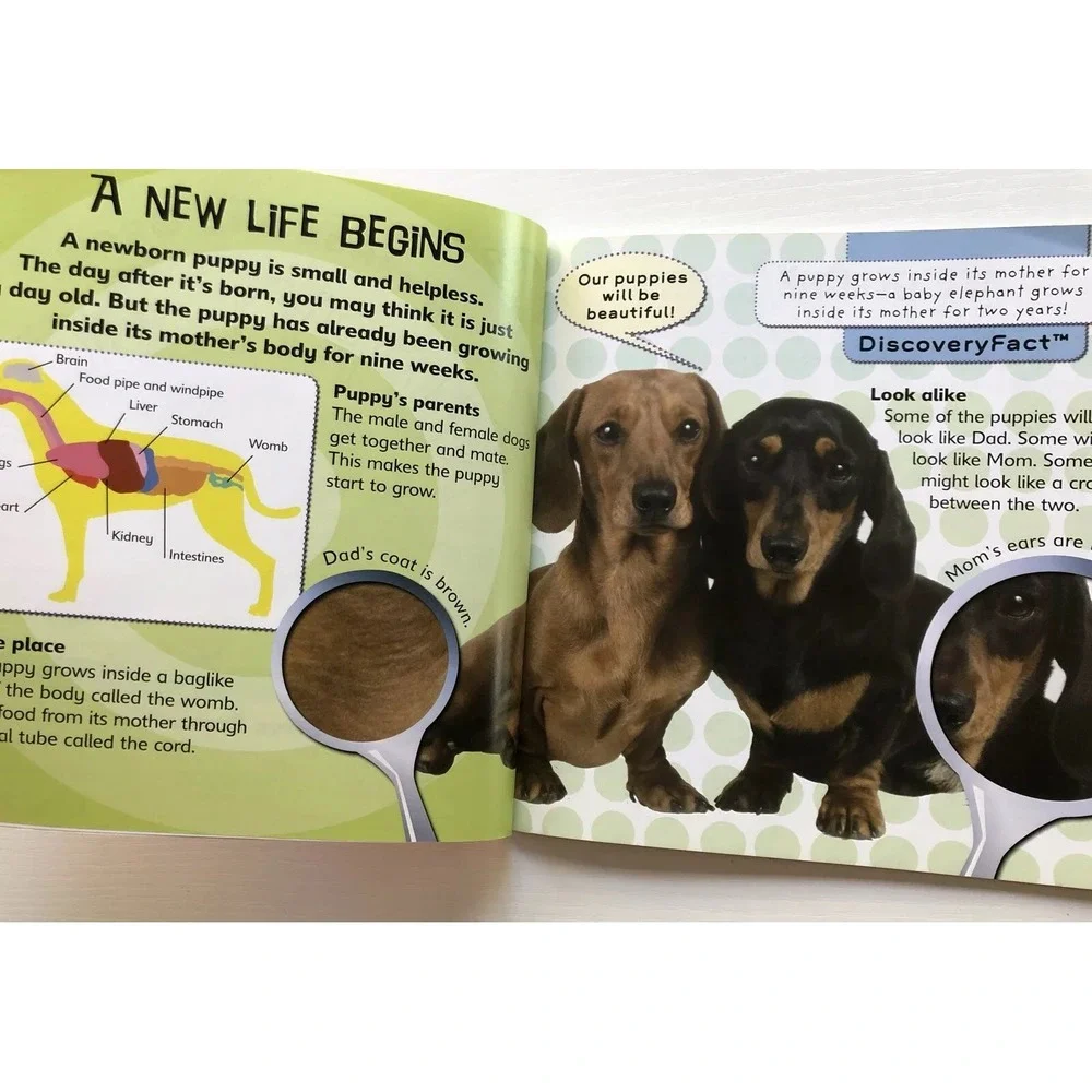 CHANGE AND GROW: PUPPY To DOG DISCOVERY KIDS/CHANGE & Grow Kitten‎ To Cat 2 In 1